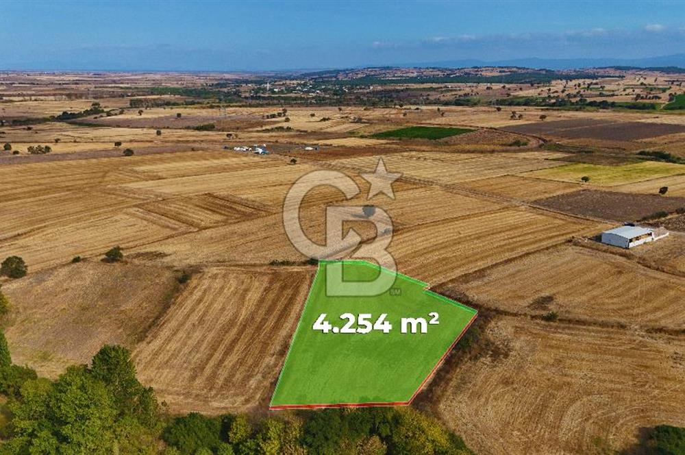 ÇANAKKALE BİGA BALIKLIÇEŞME 4250m2 SATILIK TARLA