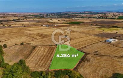 ÇANAKKALE BİGA BALIKLIÇEŞME 4250m2 SATILIK TARLA