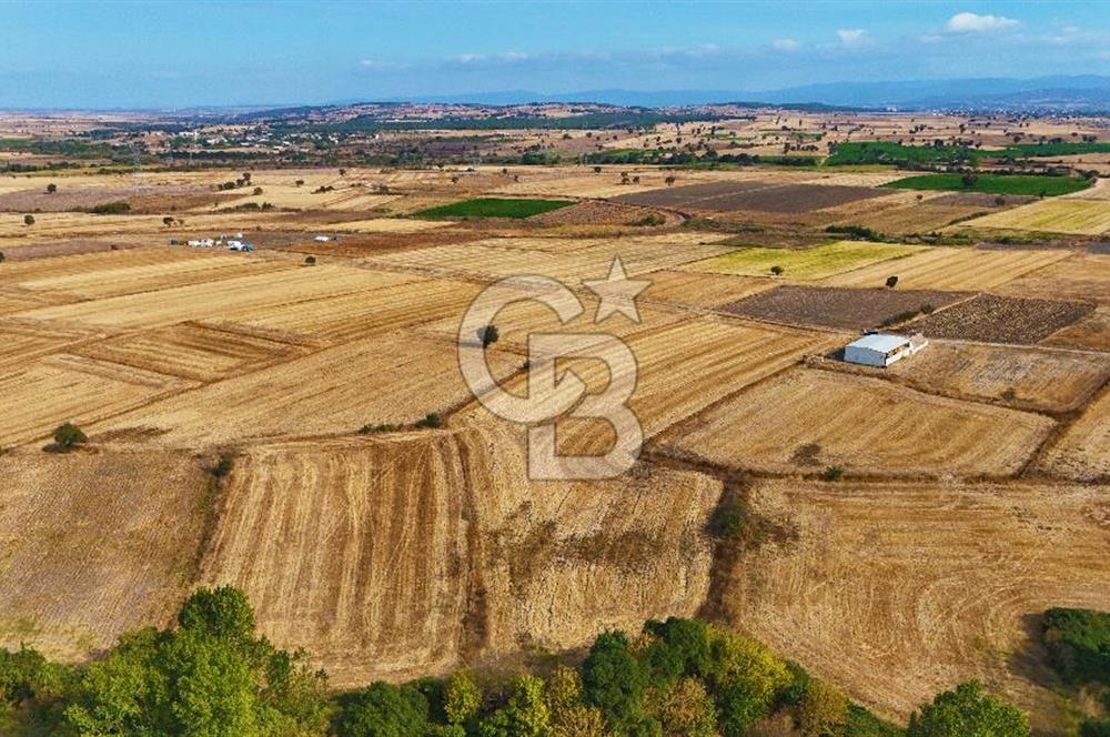 ÇANAKKALE BİGA BALIKLIÇEŞME 4250m2 SATILIK TARLA