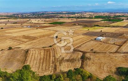 ÇANAKKALE BİGA BALIKLIÇEŞME 4250m2 SATILIK TARLA