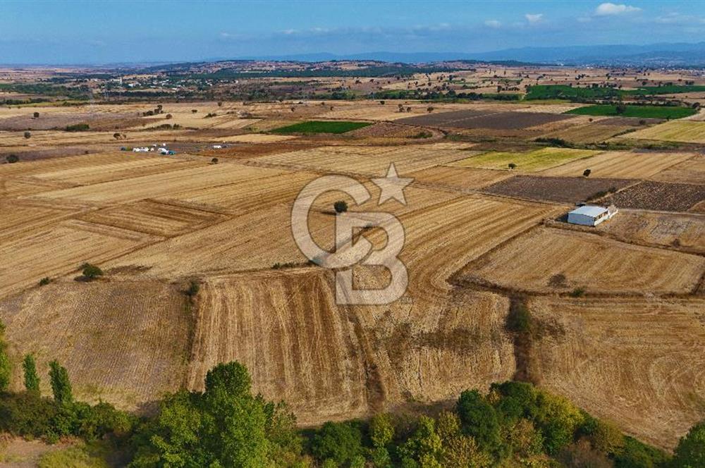 ÇANAKKALE BİGA BALIKLIÇEŞME 4250m2 SATILIK TARLA