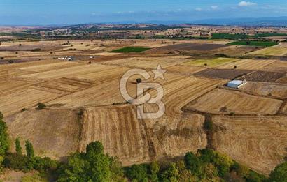 ÇANAKKALE BİGA BALIKLIÇEŞME 4250m2 SATILIK TARLA