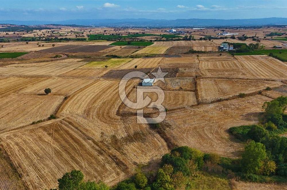 ÇANAKKALE BİGA BALIKLIÇEŞME 4250m2 SATILIK TARLA