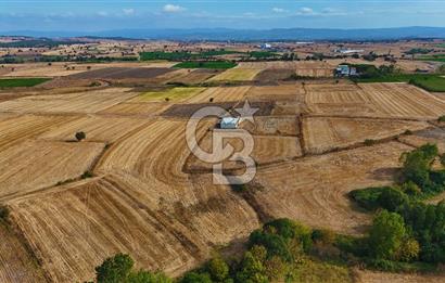 ÇANAKKALE BİGA BALIKLIÇEŞME 4250m2 SATILIK TARLA