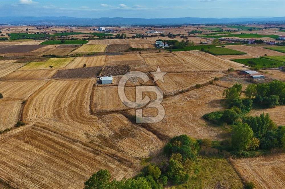 ÇANAKKALE BİGA BALIKLIÇEŞME 4250m2 SATILIK TARLA
