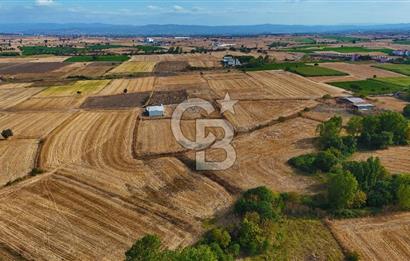 ÇANAKKALE BİGA BALIKLIÇEŞME 4250m2 SATILIK TARLA
