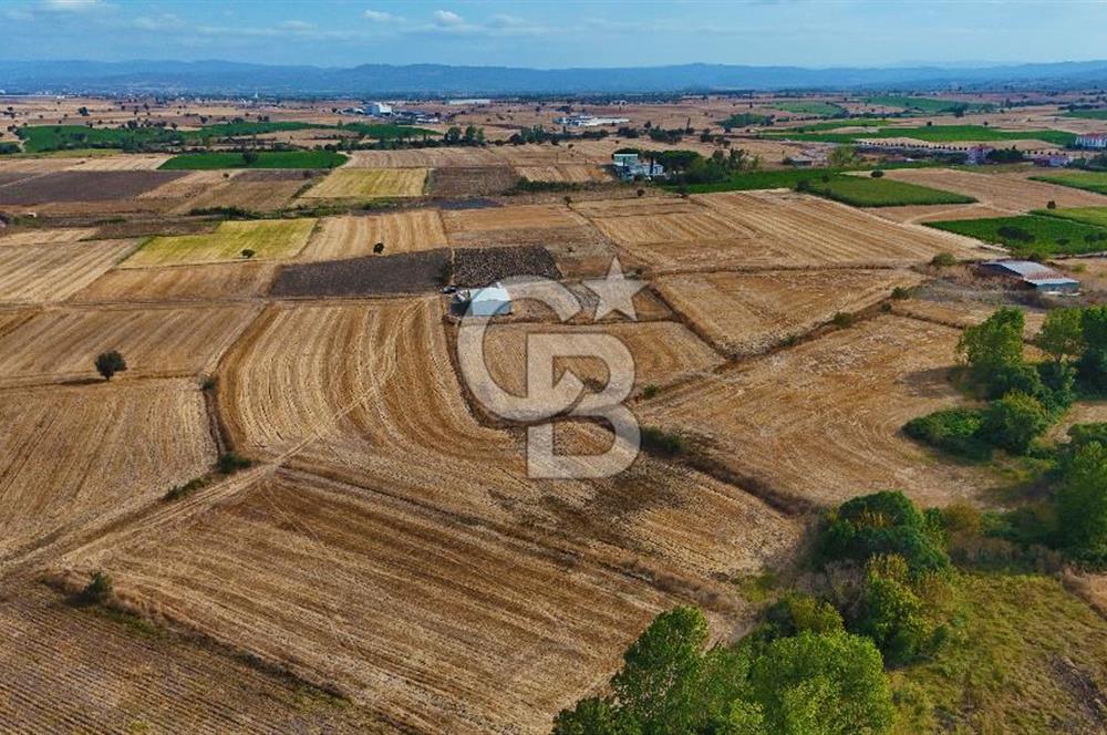ÇANAKKALE BİGA BALIKLIÇEŞME 4250m2 SATILIK TARLA