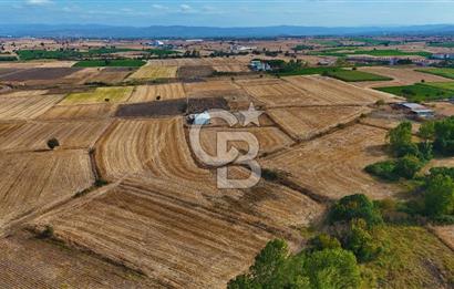 ÇANAKKALE BİGA BALIKLIÇEŞME 4250m2 SATILIK TARLA