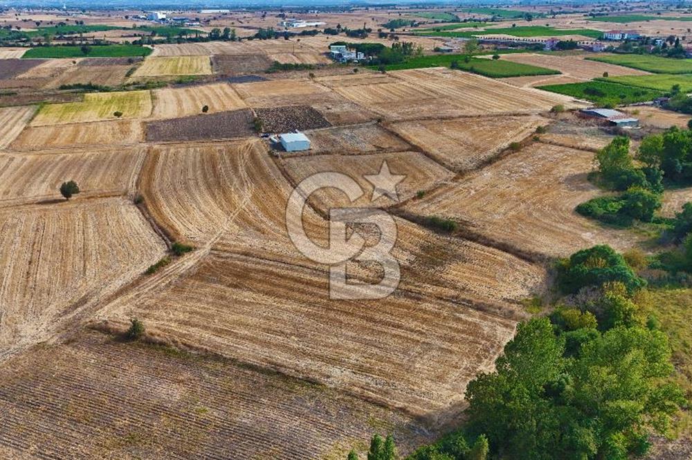 ÇANAKKALE BİGA BALIKLIÇEŞME 4250m2 SATILIK TARLA