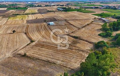ÇANAKKALE BİGA BALIKLIÇEŞME 4250m2 SATILIK TARLA
