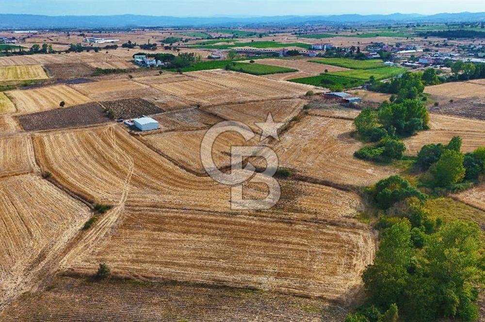 ÇANAKKALE BİGA BALIKLIÇEŞME 4250m2 SATILIK TARLA