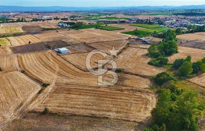 ÇANAKKALE BİGA BALIKLIÇEŞME 4250m2 SATILIK TARLA