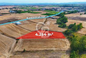 ÇANAKKALE BİGA BALIKLIÇEŞME 4250m2 SATILIK TARLA