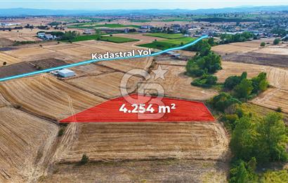 ÇANAKKALE BİGA BALIKLIÇEŞME 4250m2 SATILIK TARLA