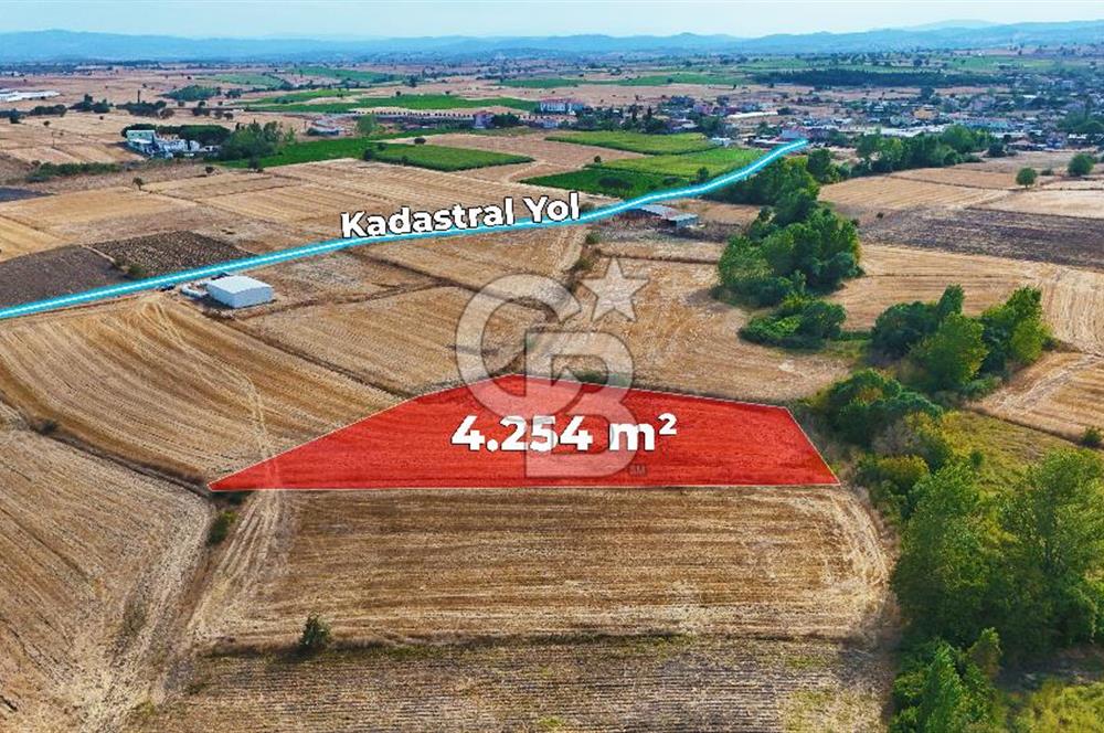 ÇANAKKALE BİGA BALIKLIÇEŞME 4250m2 SATILIK TARLA