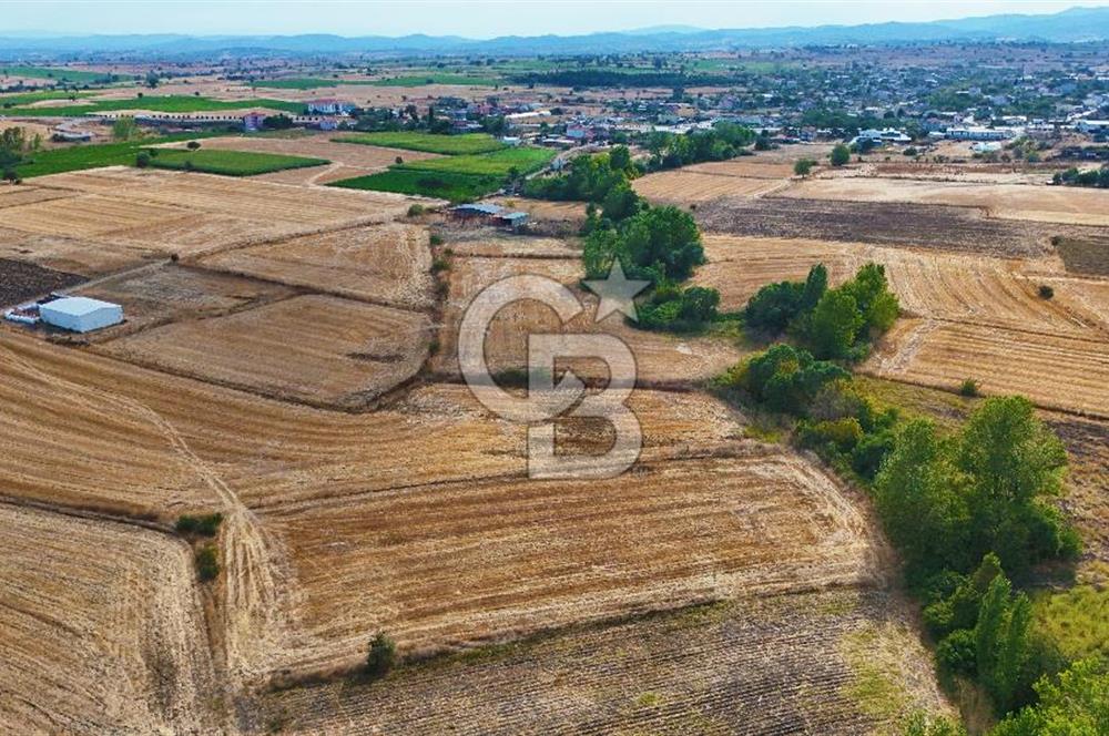 ÇANAKKALE BİGA BALIKLIÇEŞME 4250m2 SATILIK TARLA