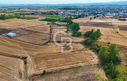 ÇANAKKALE BİGA BALIKLIÇEŞME 4250m2 SATILIK TARLA