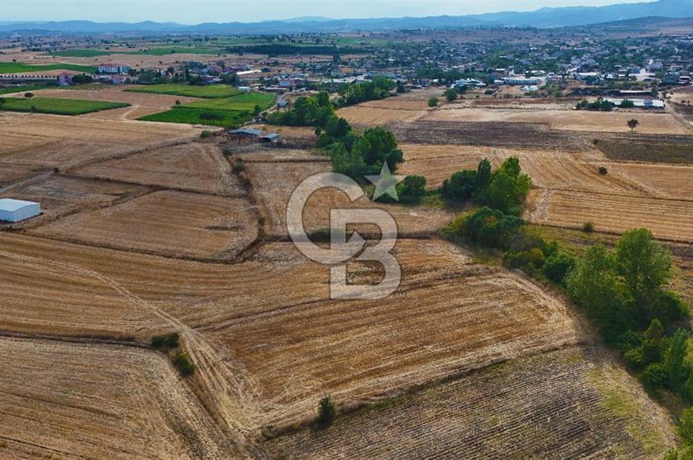 ÇANAKKALE BİGA BALIKLIÇEŞME 4250m2 SATILIK TARLA