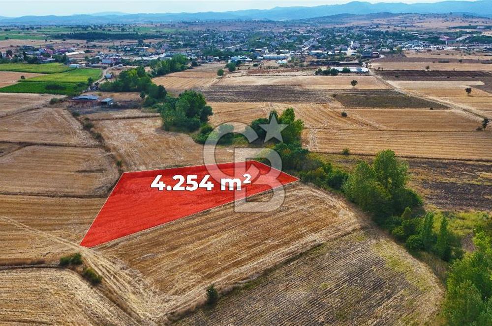 ÇANAKKALE BİGA BALIKLIÇEŞME 4250m2 SATILIK TARLA
