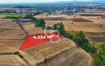 ÇANAKKALE BİGA BALIKLIÇEŞME 4250m2 SATILIK TARLA