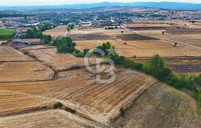 ÇANAKKALE BİGA BALIKLIÇEŞME 4250m2 SATILIK TARLA