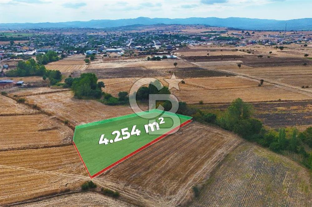ÇANAKKALE BİGA BALIKLIÇEŞME 4250m2 SATILIK TARLA