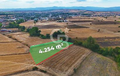 ÇANAKKALE BİGA BALIKLIÇEŞME 4250m2 SATILIK TARLA