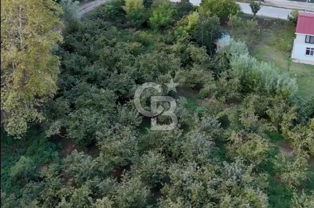 Villa Yapmak için Mükemmel Arsa