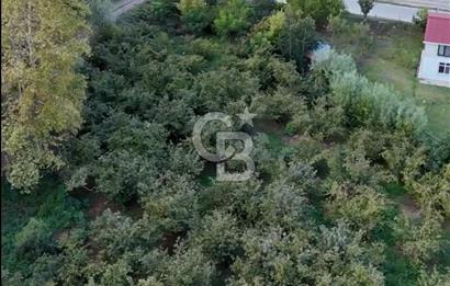Villa Yapmak için Mükemmel Arsa