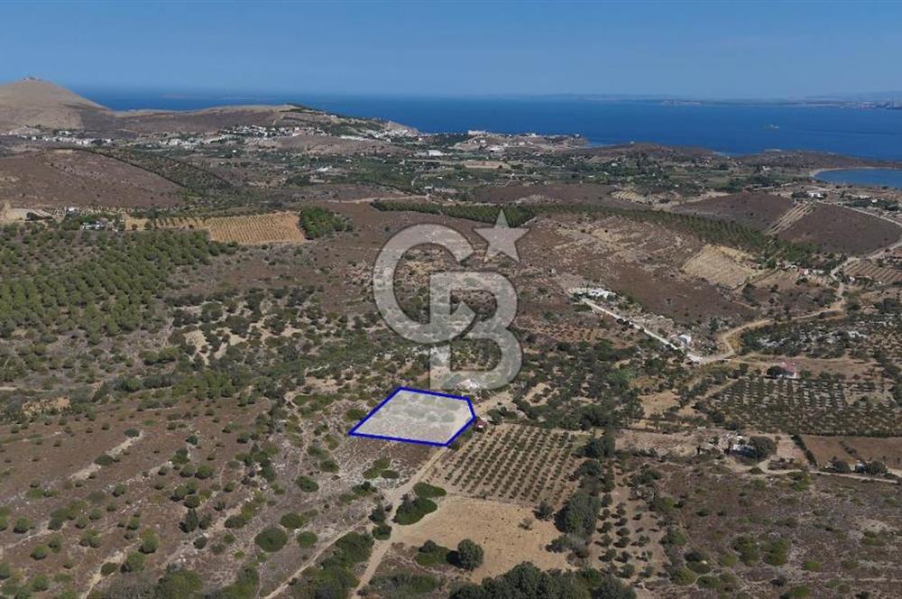ÇANAKKALE BOZCAADA ALAYBEY’DE YATIRIMLIK 1802 M2 TARLA