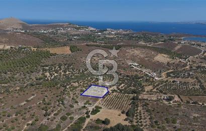 ÇANAKKALE BOZCAADA ALAYBEY’DE YATIRIMLIK 1802 M2 TARLA