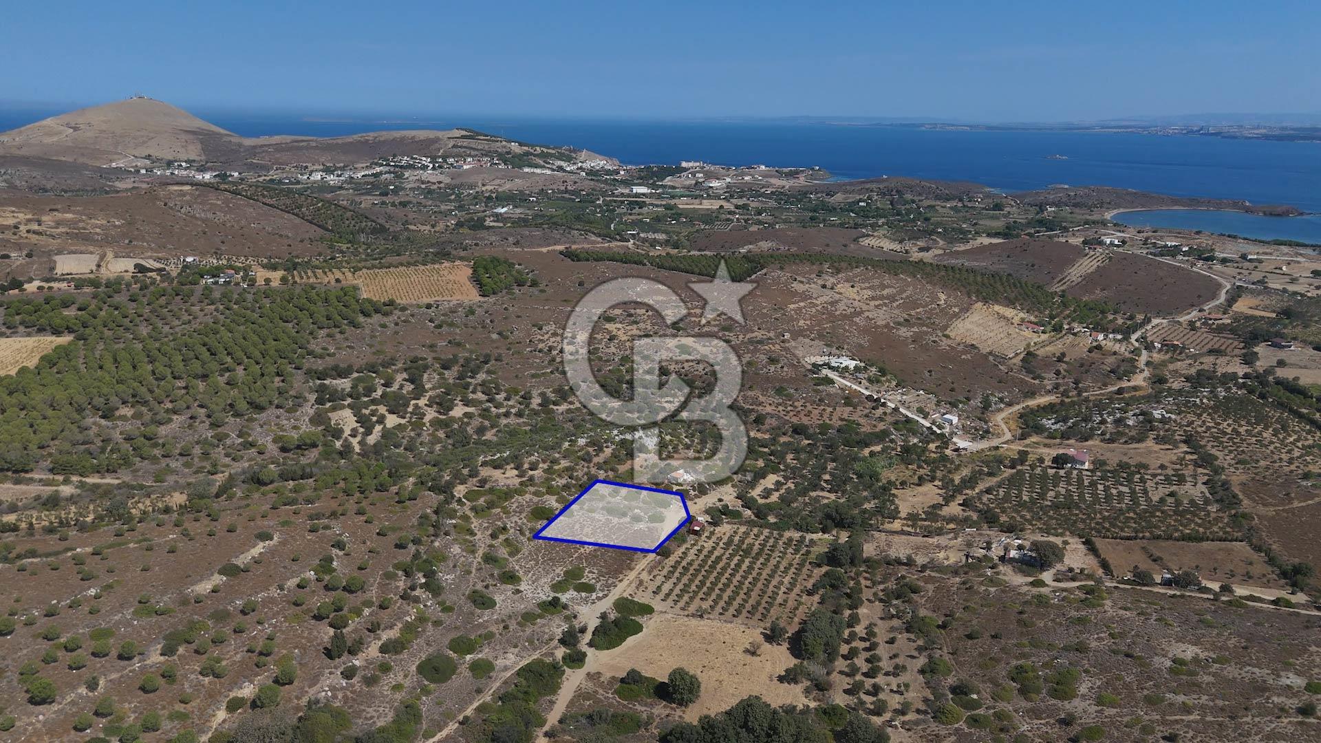 ÇANAKKALE BOZCAADA ALAYBEY’DE YATIRIMLIK 1802 M2 TARLA