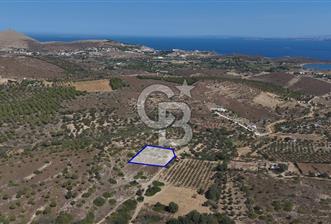 ÇANAKKALE BOZCAADA ALAYBEY’DE YATIRIMLIK 1802 M2 TARLA
