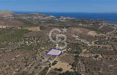 ÇANAKKALE BOZCAADA ALAYBEY’DE YATIRIMLIK 1802 M2 TARLA