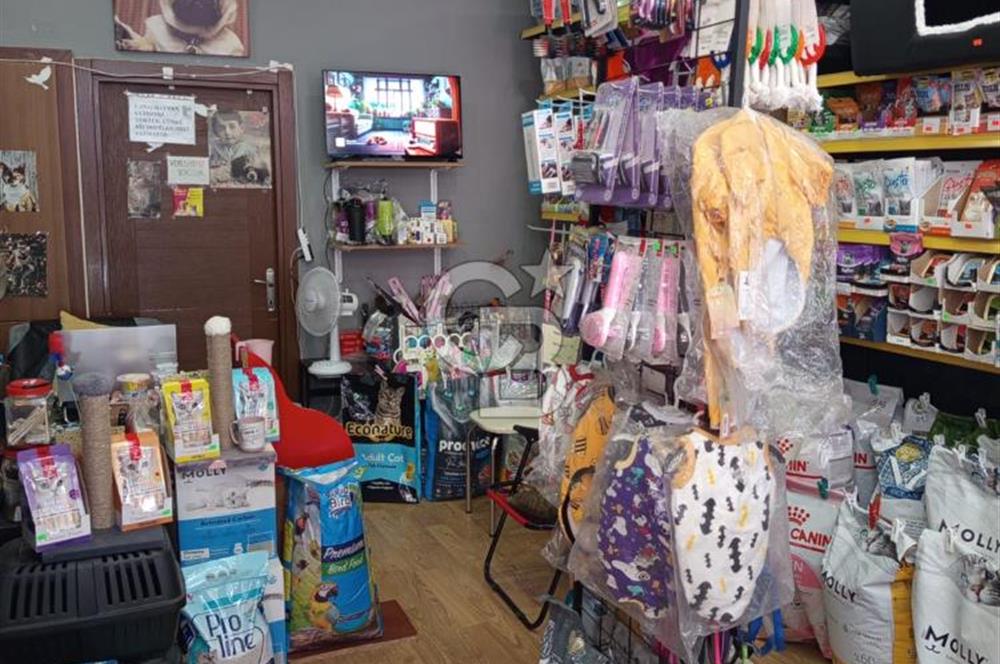 CB CITYDEN GÜLLÜK MAHALLESİNDE DEVREN KİRALIK PETSHOP