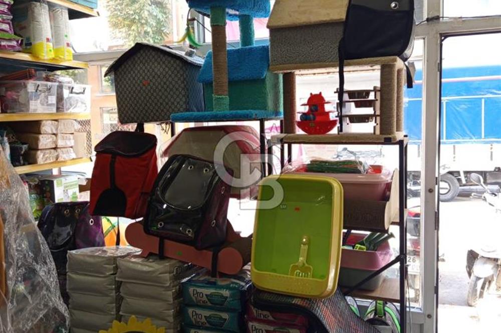 CB CITYDEN GÜLLÜK MAHALLESİNDE DEVREN KİRALIK PETSHOP