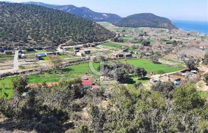 ÇANAKKALE GELİBOLU YENİKÖY SATILIK ARSA