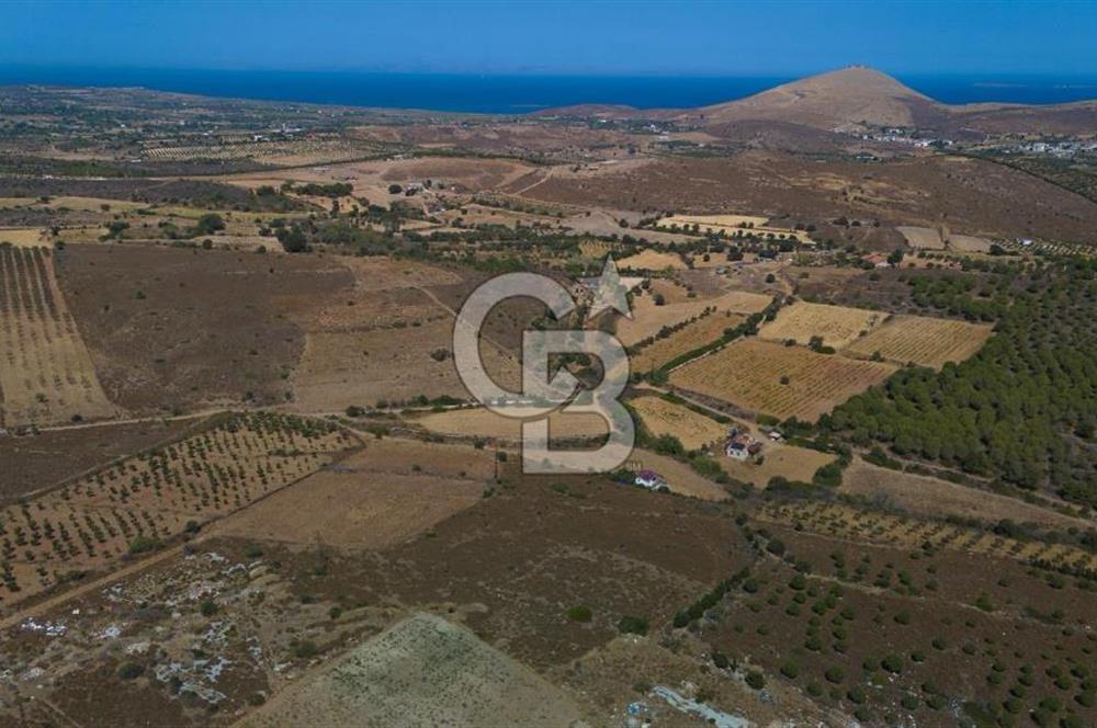 ÇANAKKALE BOZCAADA ALAYBEY’DE YATIRIMLIK 1802 M2 TARLA