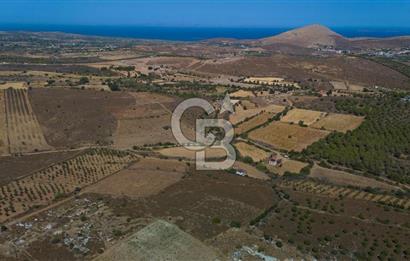 ÇANAKKALE BOZCAADA ALAYBEY’DE YATIRIMLIK 1802 M2 TARLA