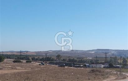 Çatalca İlçesi İzzettin mahallesi’nde