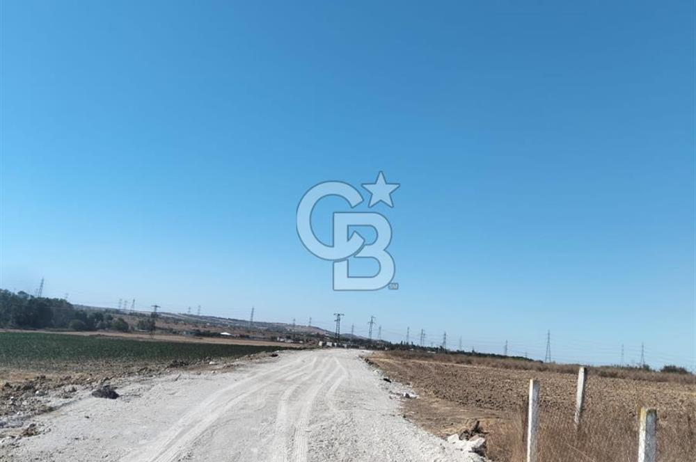 Çatalca İlçesi İzzettin mahallesi’nde