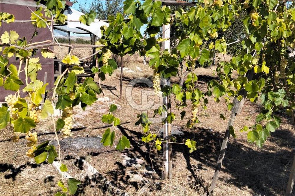 Çatalca İlçesi İzzettin mahallesi’nde