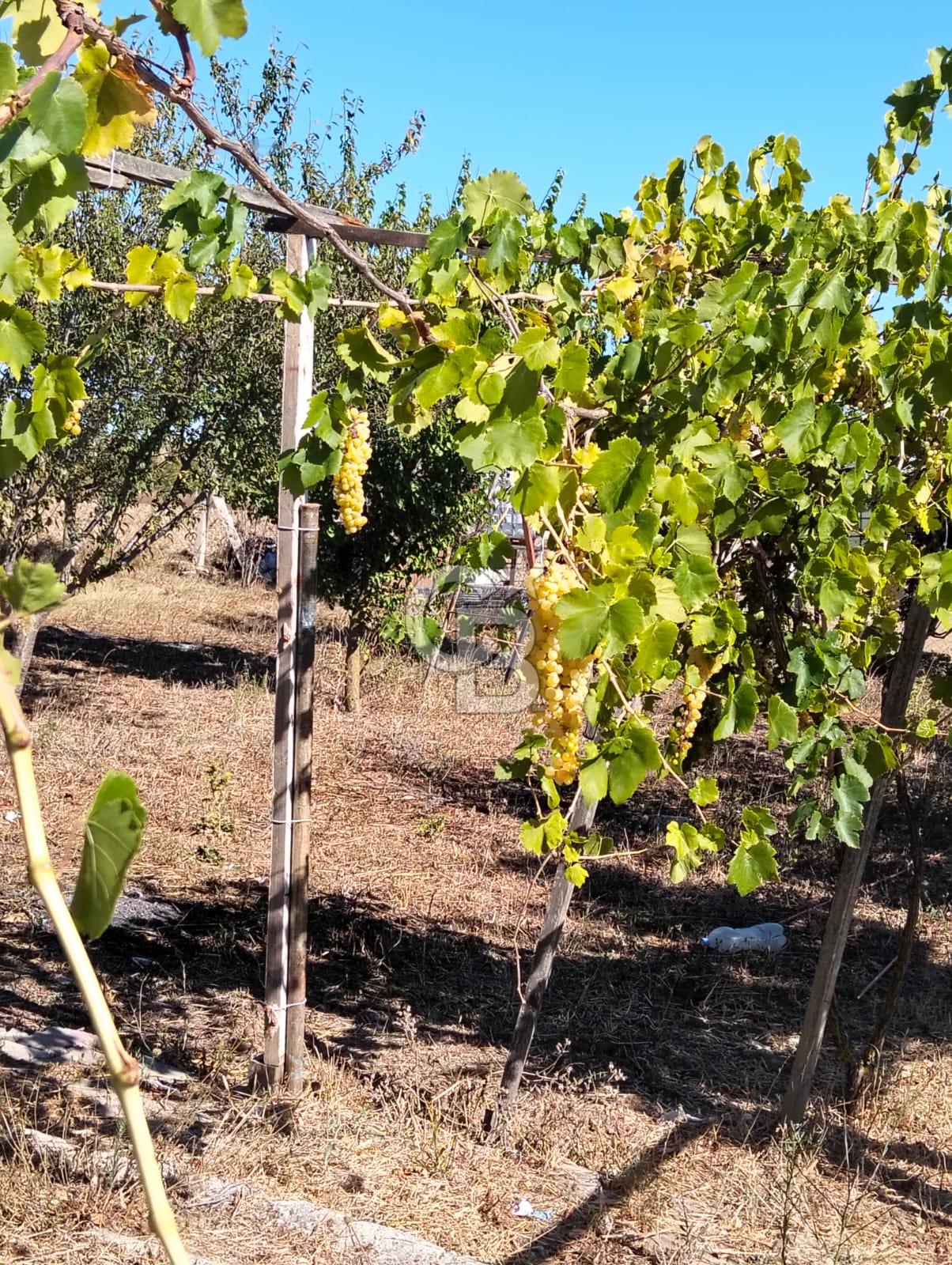 SATILIK ÇATALCA İZZETTTİN MAHALLESİ