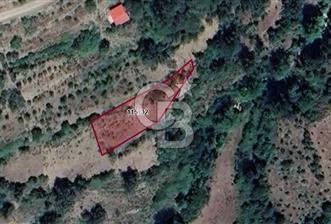 CB BLACK'TEN ANTALYA YEŞİLYURT'TA UYGUN TARLA