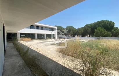 İzmir Menderes Küner'de Natamam Müstakil Ev ve 2000m2 Arsa