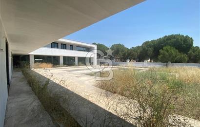 İzmir Menderes Küner'de Natamam Müstakil Ev ve 2000m2 Arsa