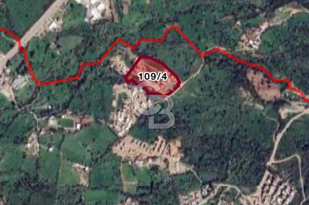 Islamhanelerinde Satılık 500 M2 Kooperatif Hissesi Arsa