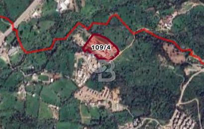 Islamhanelerinde Satılık 500 M2 Kooperatif Hissesi Arsa
