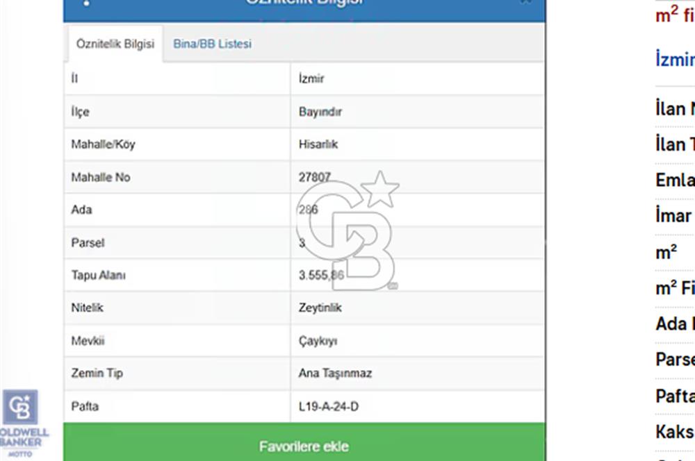 BAYINDIR'DA YATIRIMLIK ZEYTİNLİK