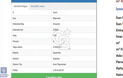 BAYINDIR'DA YATIRIMLIK ZEYTİNLİK